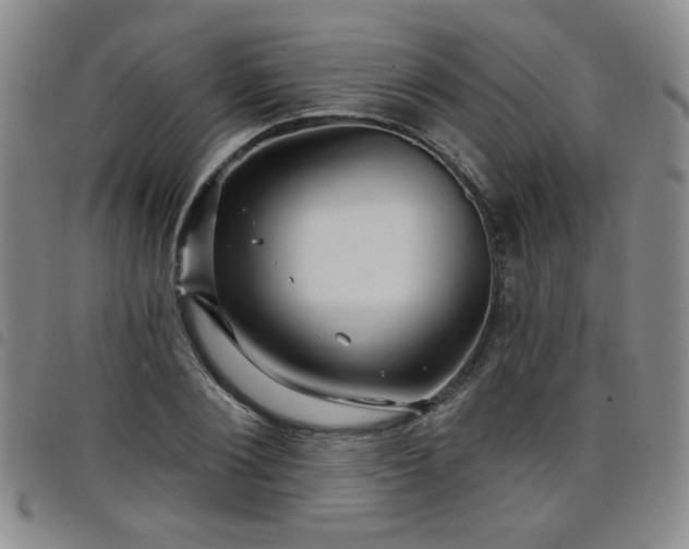 X0000098150884200804241737