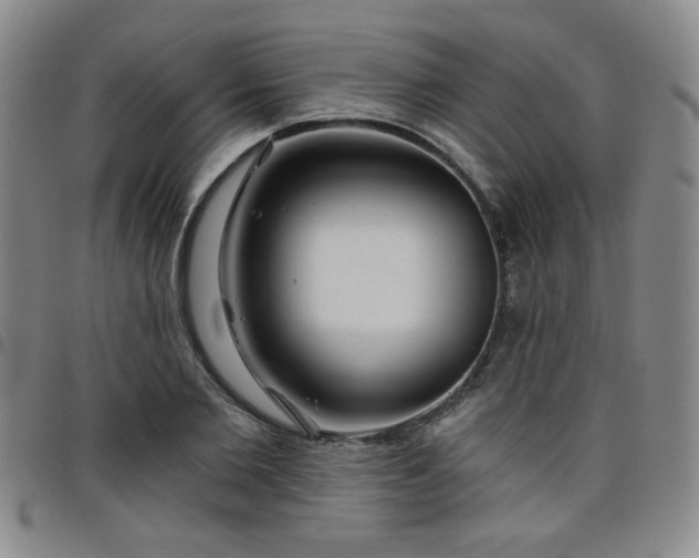 X0000098150885200804241737