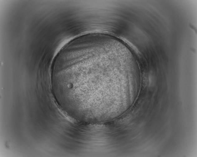 X0000098150886200804241737