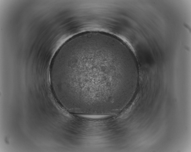 X0000098150887200804241737