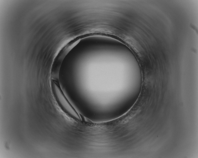 X0000098150888200804241737