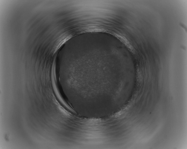 X0000098150889200804241737