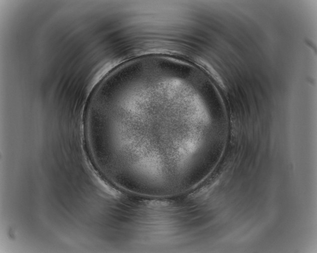 X0000098150890200804241737