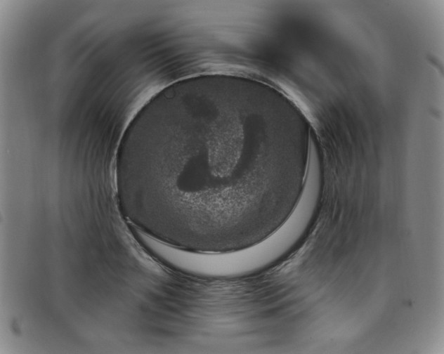 X0000098150891200804241737