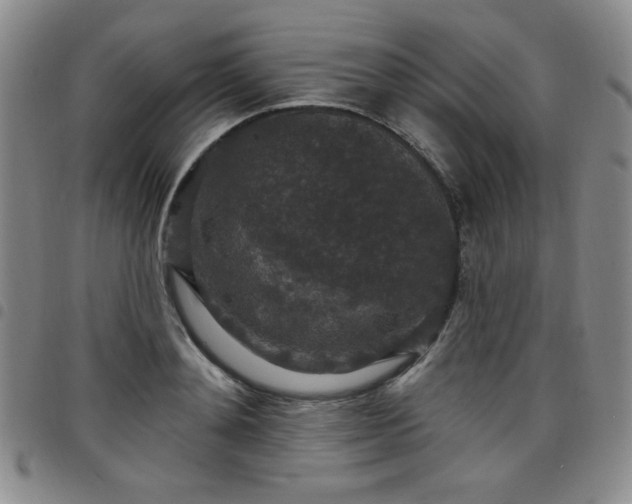 X0000098150892200804241737