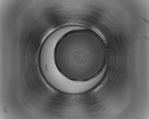 X0000098150893200804241737