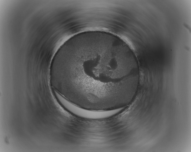 X0000098150895200804241737
