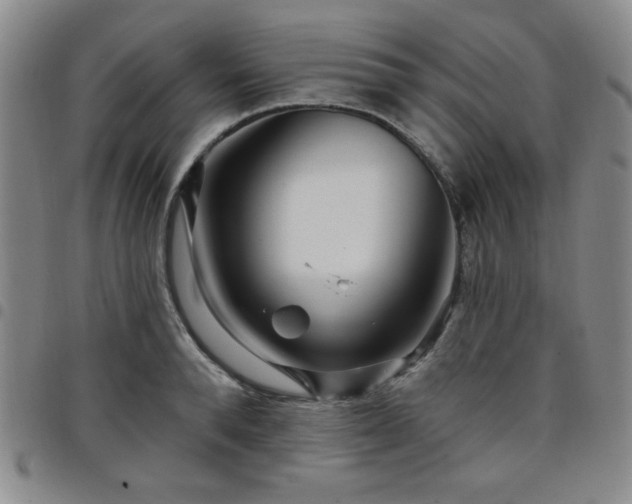 X0000098150896200804241737