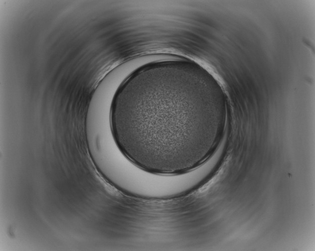 X0000098150897200804241737