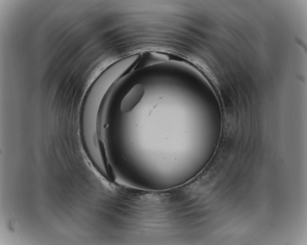 X0000098150898200804241737