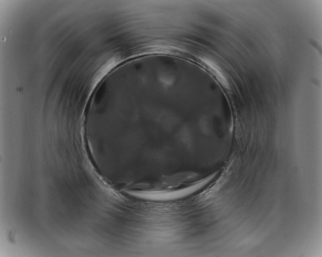 X0000098150899200804241737