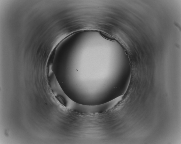 X0000098150900200804241737