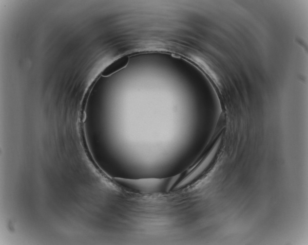 X0000098150901200804241737