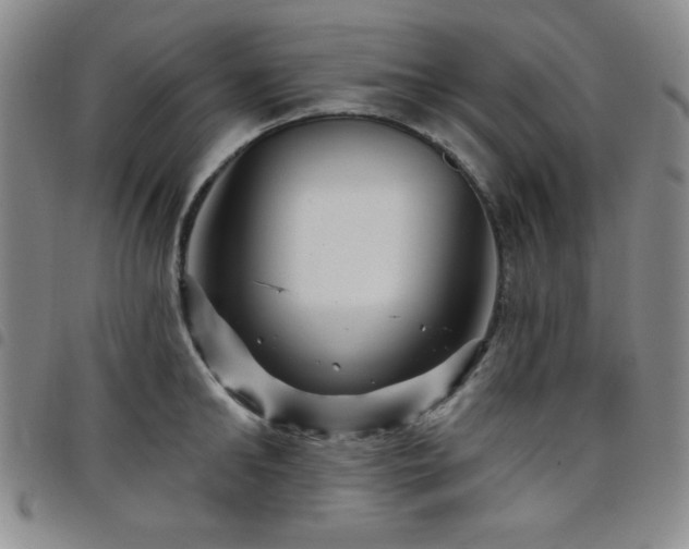 X0000098150902200804241736