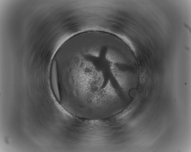 X0000098150903200804241736