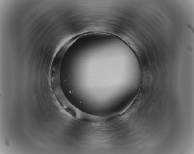 X0000098150904200804241736