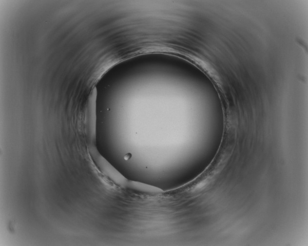 X0000098150905200804241736
