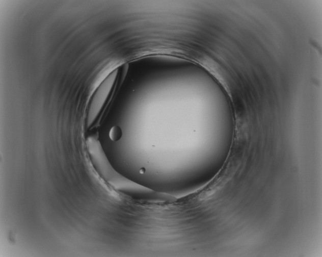 X0000098150906200804241736