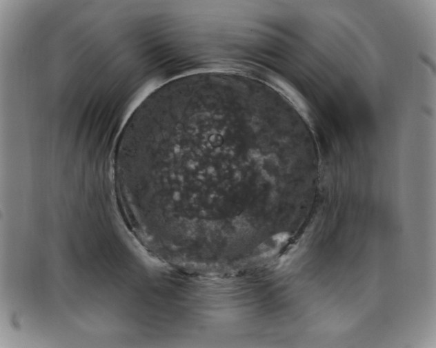 X0000098150907200804241736