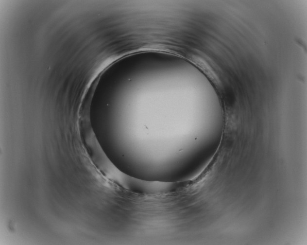 X0000098150908200804241736