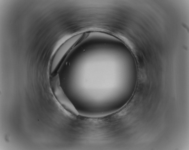 X0000098150910200804241736