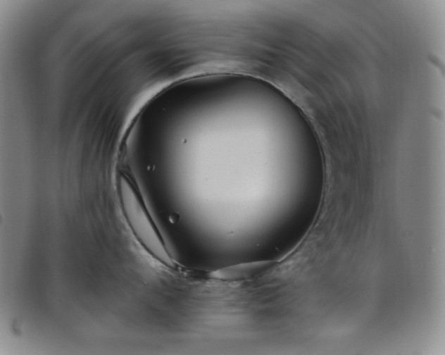 X0000098150912200804241736