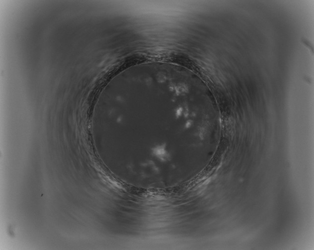 X0000098150913200804241736