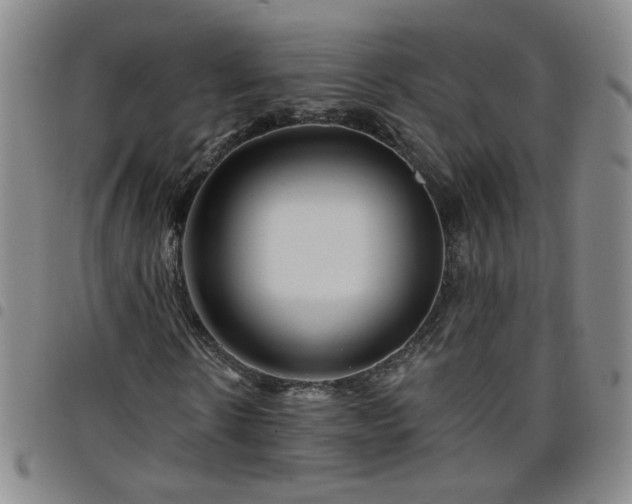 X0000098150914200804241736
