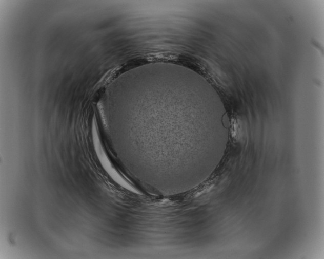 X0000098150915200804241736