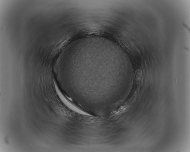 X0000098150916200804241736