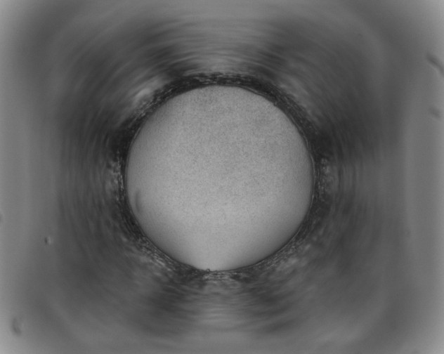 X0000098150918200804241736