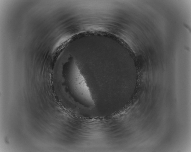 X0000098150919200804241736