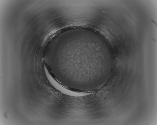 X0000098150920200804241736
