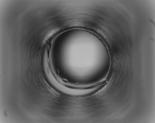 X0000098150922200804241736