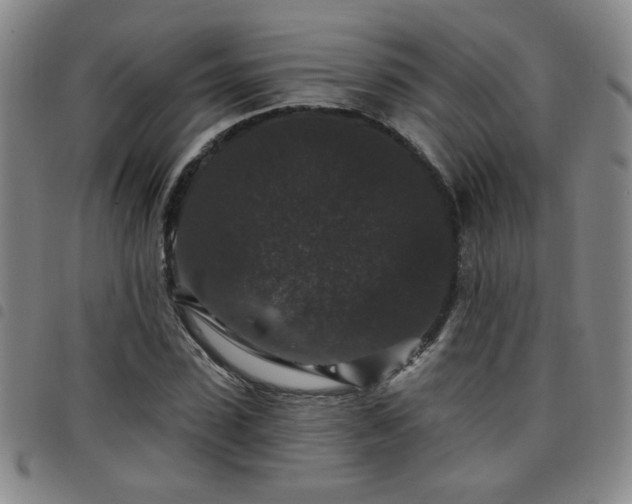 X0000098150923200804241736