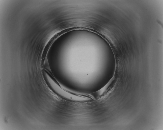 X0000098150924200804241736