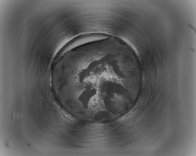 X0000098150925200804241736