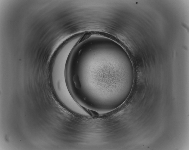 X0000098150926200804241736