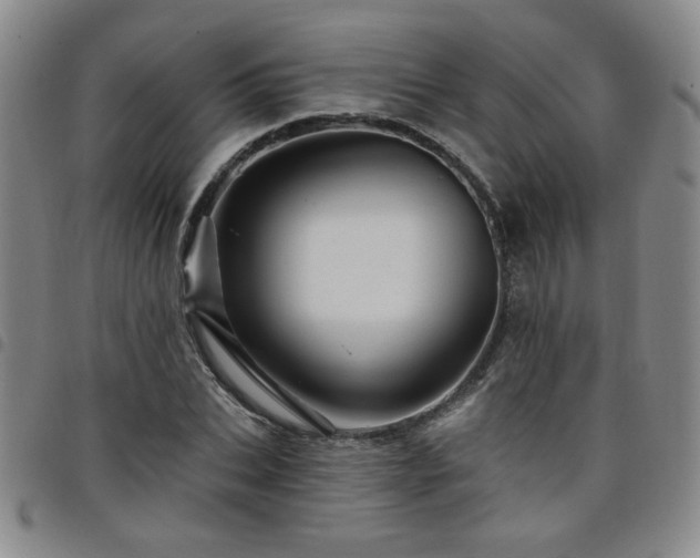 X0000098150927200804241736