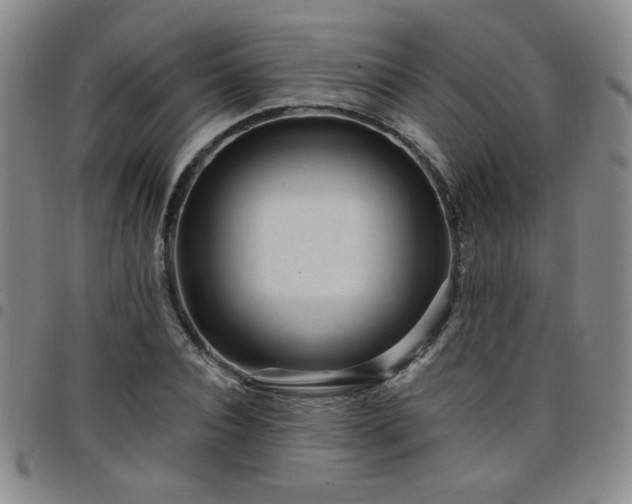 X0000098150928200804241736