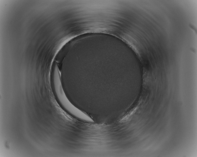 X0000098150932200804241736