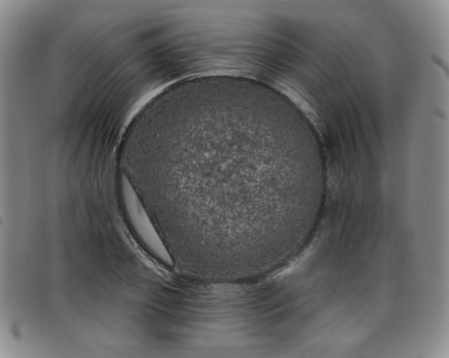 X0000098150933200804241736