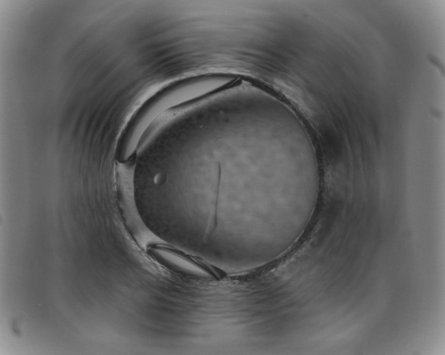 X0000098150934200804241736