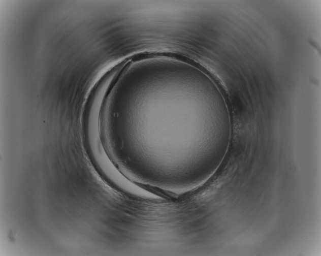 X0000098150935200804241736