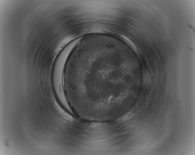 X0000098150938200804241736