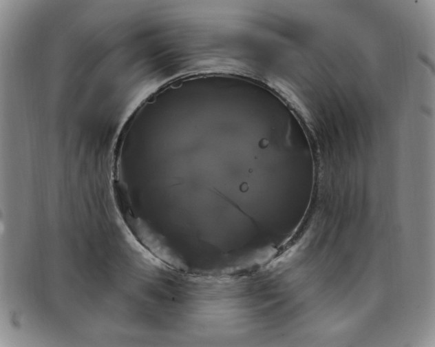 X0000098150941200804241736