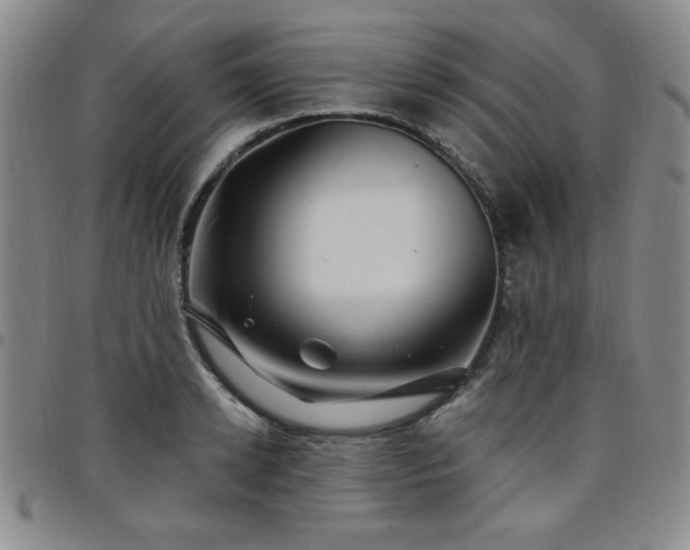 X0000098150942200804241736