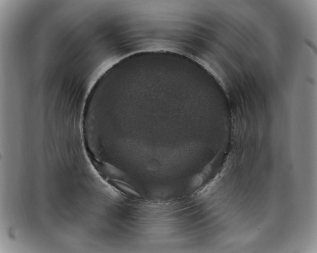 X0000098150943200804241736