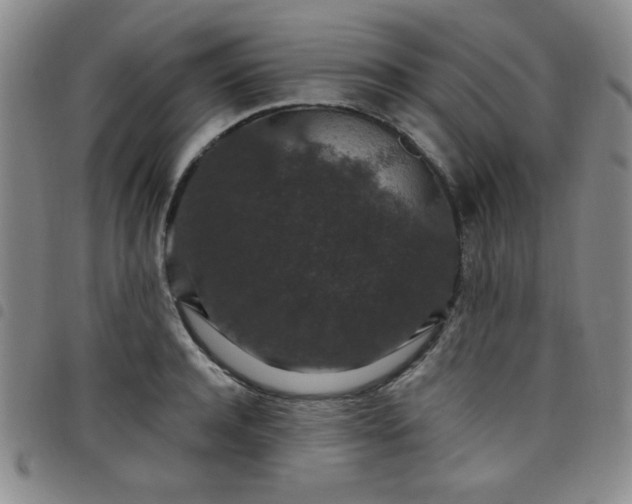 X0000098150944200804241736