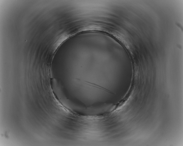X0000098150945200804241736